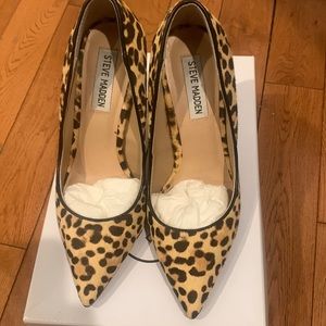 DAISIE-L LEOPARD